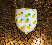 Load image into Gallery viewer, Fashion Bandana Collar