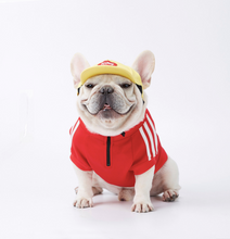 Load image into Gallery viewer, Adidog Jacket