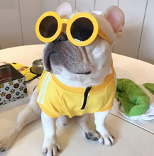 Load image into Gallery viewer, Adidog Jacket