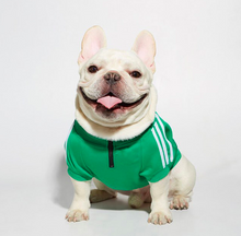 Load image into Gallery viewer, Adidog Jacket