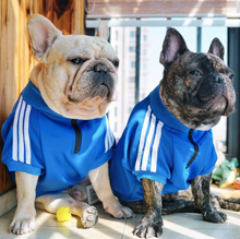 Load image into Gallery viewer, Adidog Jacket