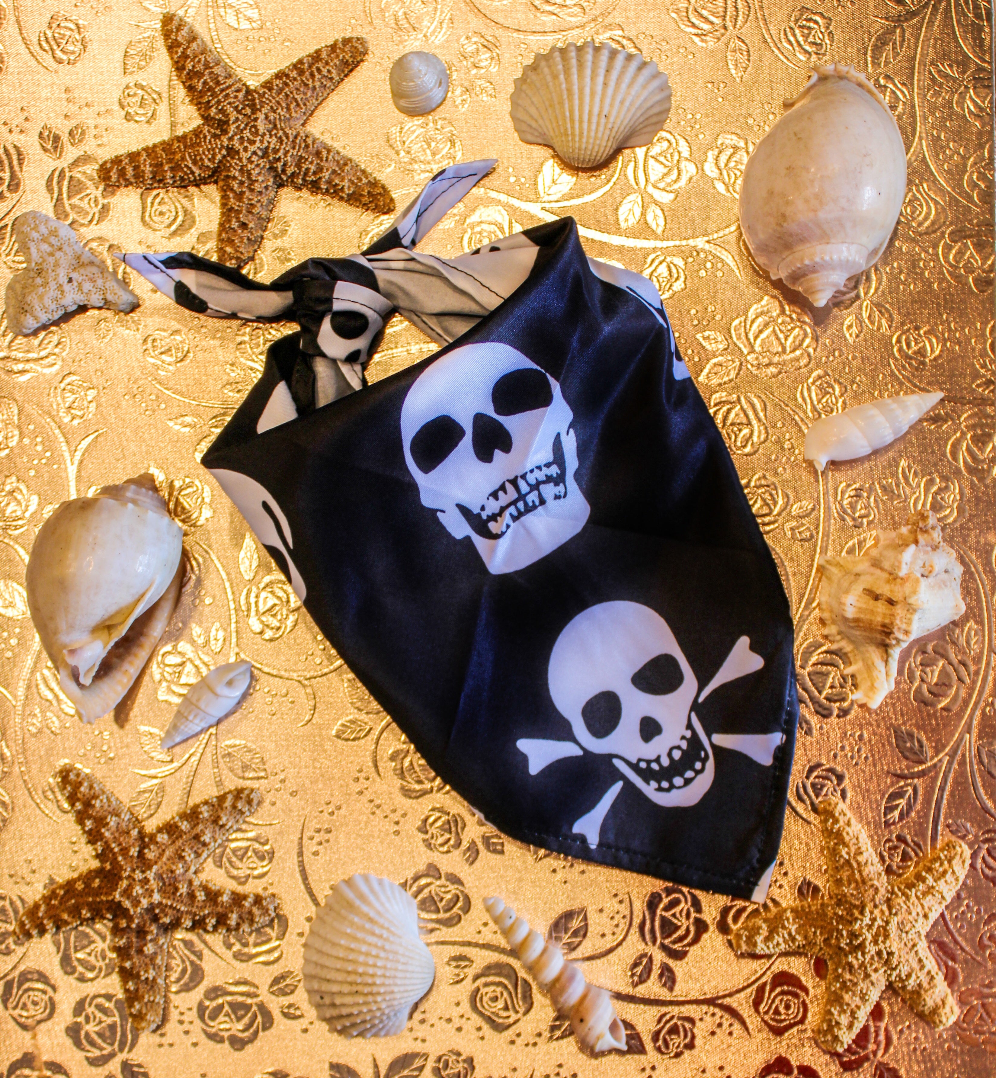 Skull Bandana – Love and Zoomies Hawaii