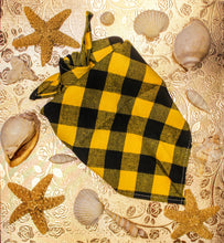 Load image into Gallery viewer, Classic Bandana
