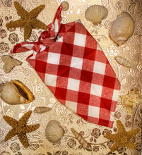 Load image into Gallery viewer, Classic Bandana