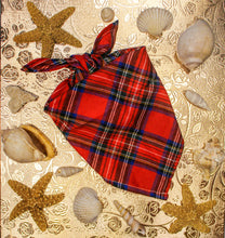Load image into Gallery viewer, Classic Bandana