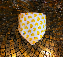 Load image into Gallery viewer, Fashion Bandana Collar