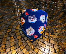 Load image into Gallery viewer, Fashion Bandana Collar