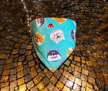 Load image into Gallery viewer, Fashion Bandana Collar