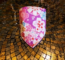 Load image into Gallery viewer, Fashion Bandana Collar