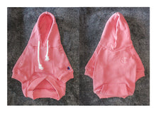 Load image into Gallery viewer, Champidog Rip Hoodie for fur parent and fur baby